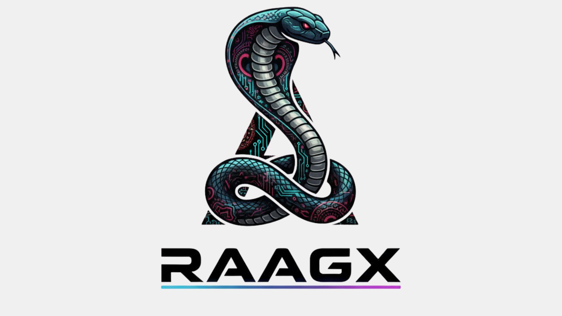 RaagX